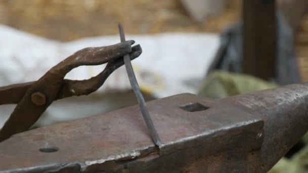 Medieval Method Forging Iron Blacksmith Forges Iron Nail Fire Blacksmith — Vídeo de Stock