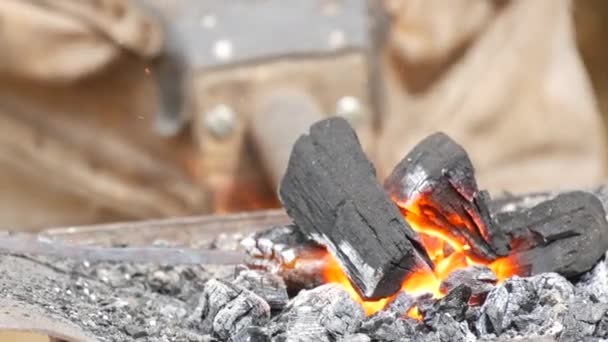 Medieval Method Forging Iron Blacksmith Forges Iron Nail Fire Blacksmith — Vídeo de Stock