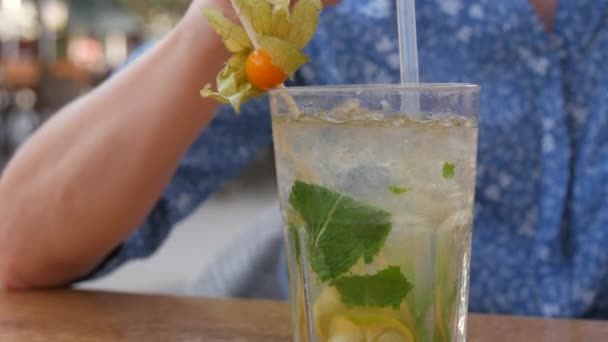 Summer Cocktail Mojito Cocktail Transparent Glass Glass Pieces Ice Mint — Stockvideo