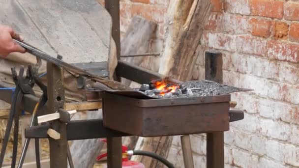 Medieval Method Forging Iron Blacksmith Forges Iron Nail Fire Blacksmith — Vídeos de Stock