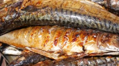 Grilled mackerel fish carcass with a slice of lemon. Grilled fish on a grill close-up view. Fish grill, street food festival, picnic in nature