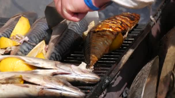 Grilled Mackerel Fish Carcass Slice Lemon Grilled Fish Grill Close — Vídeos de Stock