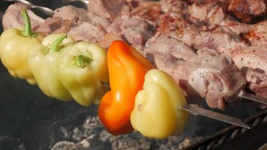 Büyük et parçaları ızgarada yatıyor ve kızartılıyor. Ateşin arka planında et yiyenler için nefis, doyurucu yemekler, yakın çekim manzarası..