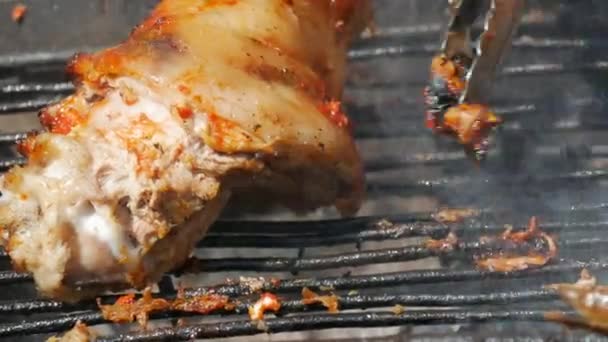 Grilled Mackerel Fish Carcass Slice Lemon Grilled Fish Grill Close — Vídeo de Stock