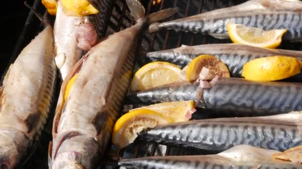 Grilled Mackerel Fish Carcass Slice Lemon Grilled Fish Grill Close — Vídeos de Stock
