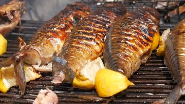 Grilled Mackerel Fish Carcass Slice Lemon Grilled Fish Grill Close — Stok Video