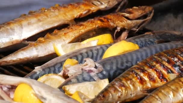 Grilled Mackerel Fish Carcass Slice Lemon Grilled Fish Grill Close — Wideo stockowe