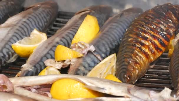 Grilled Mackerel Fish Carcass Slice Lemon Grilled Fish Grill Close — Video