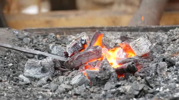 Medieval Method Forging Iron Blacksmith Forges Iron Nail Fire Blacksmith — Vídeo de Stock