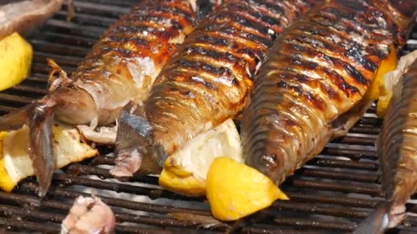 Grilled Mackerel Fish Carcass Slice Lemon Grilled Fish Grill Close — 비디오