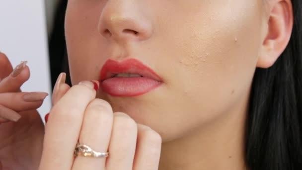 Lichte Lip Make Grote Mooie Lippen Zijn Beschilderd Met Rode — Stockvideo