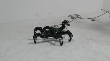 Karlsruhe, Germany - August 13, 2022: Exhibition of modern robotics. Modern Robotic Technologies. robot in the form of a black spider with short, sharp legs that periodically move.