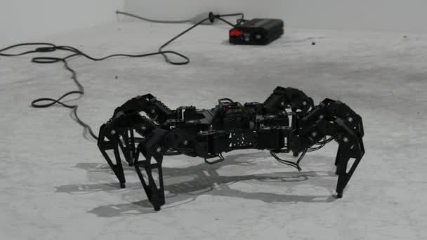 Карлсруэ Германия Августа 2022 Года Выставка Современной Робототехники Современные Роботизированные — стоковое видео