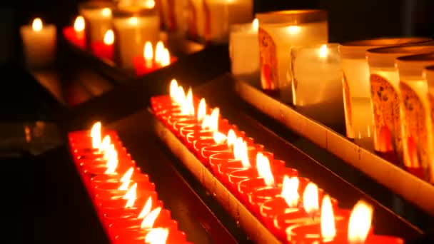 Row Lit Burning Red Candles Cathedral Religious Candles Rest Soul — Video