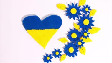 Plasticine heart with blue-yellow colors of Ukrainian flag decreases and increases on background of beautiful blue flowers with yellow petals on a white background. Stop motion animation. Claymotion.