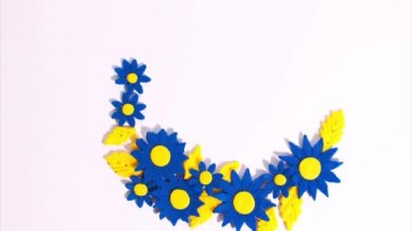 Plasticine heart with blue-yellow colors of Ukrainian flag decreases and increases on background of beautiful blue flowers with yellow petals on a white background. Stop motion animation. Claymotion.