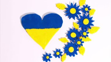 Plasticine heart with blue-yellow colors of Ukrainian flag on background of beautiful blue flowers with yellow petals on a white background. Stop motion animation. Claymotion.