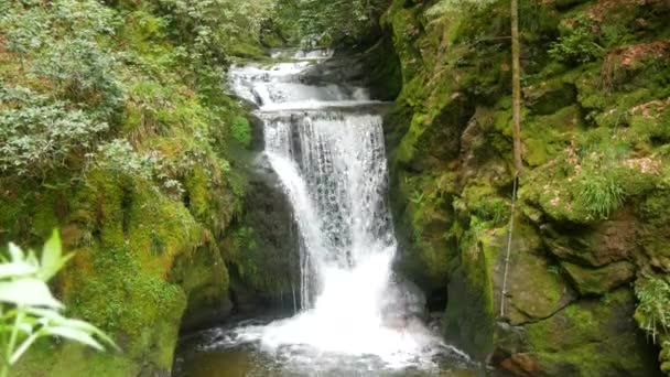 Beautiful Mountain Waterfall Geroldsauer Black Forest Germany Baden Wurttemberg Pure — Vídeos de Stock