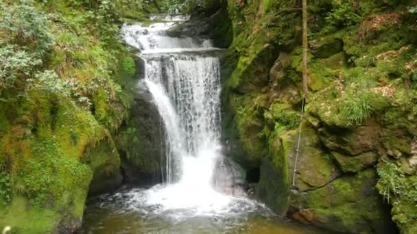 Beautiful Mountain Waterfall Geroldsauer Black Forest Germany Baden Wurttemberg Pure — Stock videók