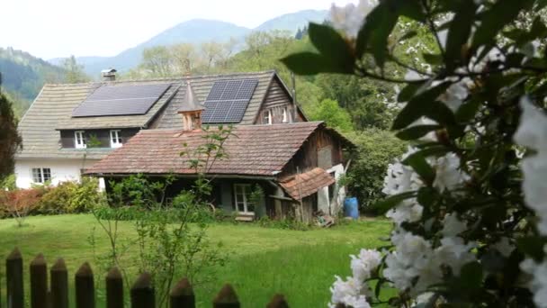 Beautiful Landscape Landscape Valley Black Forest Mountains Germany Ancient Lawn — Video Stock