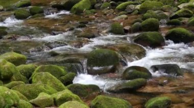 A fast clean spring mountain river stream runs through huge stones covered with green moss.