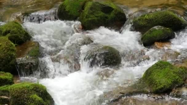 Fast Clean Spring Mountain River Stream Runs Huge Stones Covered — 图库视频影像