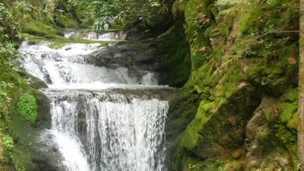 Beautiful Mountain Waterfall Geroldsauer Black Forest Germany Baden Wurttemberg Pure — Stock videók