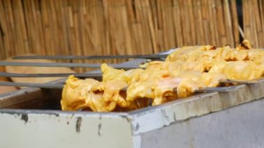 Pieces of fresh meat are grilled on a grill at a street food festival. Non vegetarian food, meat eaters.