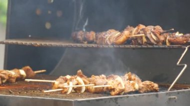 Pieces of fresh meat are grilled on a grill at a street food festival. Non vegetarian food, meat eaters.