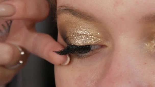 Beautiful Bright Professional Makeup Beauty Studio Make Artist Glues Artificial — Stock videók