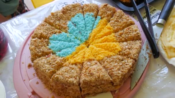 Homemade Cakes Freshly Baked Biscuit Cake Honey Cake Beautifully Laid — ストック動画