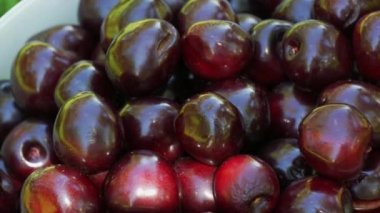 A bucket of overripe large cherries in the garden.