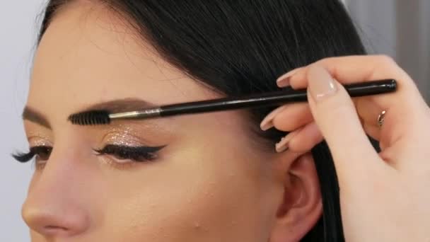 Stylista Makijaż Artysta Maluje Brwi Młodej Pięknej Modelki — Wideo stockowe