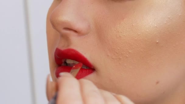 Bibir Cerah Makeup Bibir Besar Yang Indah Dicat Dengan Lipstik — Stok Video