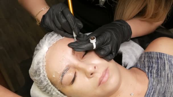 Master Applies Special Dark Pigment Coloring Eyebrows Microblading Permanent Makeup — Stock Video