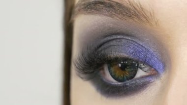 Close up view of makeup artist makes models smoky eyes with the help of special brush blue eyeshadow, eyes and eyelashes of a girl. Professional high fashion.
