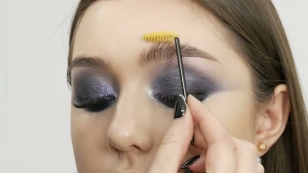 眉毛をコーミングするための特別なブラシ プロのメイクアップアーティストは 女の子のモデルの眉毛をコーミングしています — ストック動画
