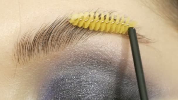 Cepillo Especial Para Peinar Cejas Artista Maquillaje Profesional Está Peinando — Vídeo de stock