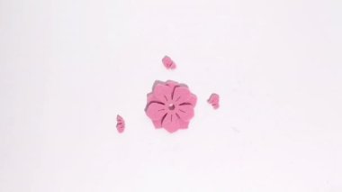 Stop motion animation of pink flowers and butterflies of different sizes turn into a kaleidoscope pattern depicting various patterns. Floral concept.