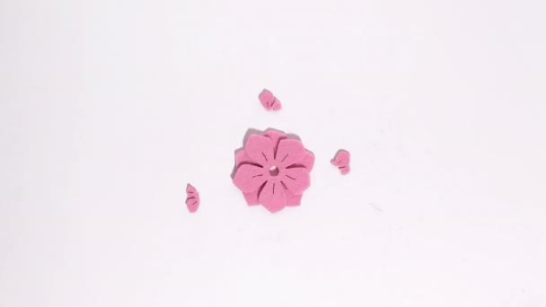 Stop Motion Animation Pink Flowers Butterflies Different Sizes Turn Kaleidoscope — Vídeo de stock