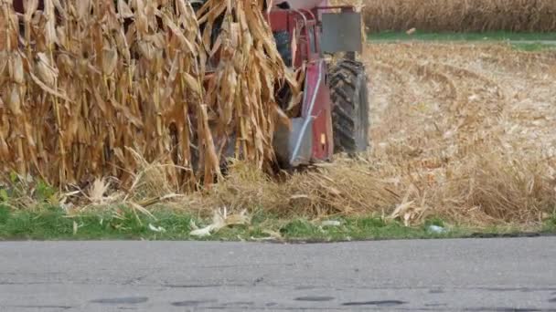 Kehl Germany October 2021 Combine Harvester Harvests Dry Ripe Corn — 图库视频影像