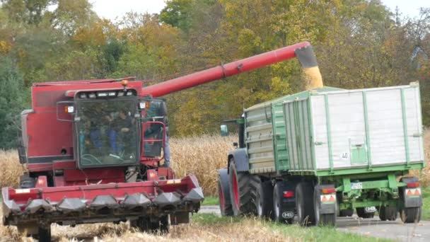 Kehl Germany October 2021 Huge Flow Corn Grains Flows Special – Stock-video