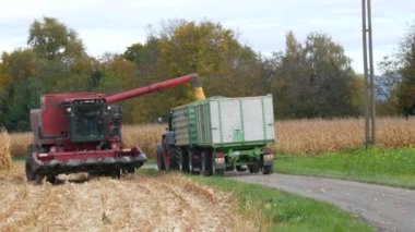 Kehl, Germany - October 31, 2021: A huge flow of corn grains that flows down a special pipe of the combine into a truck waiting for transportation.