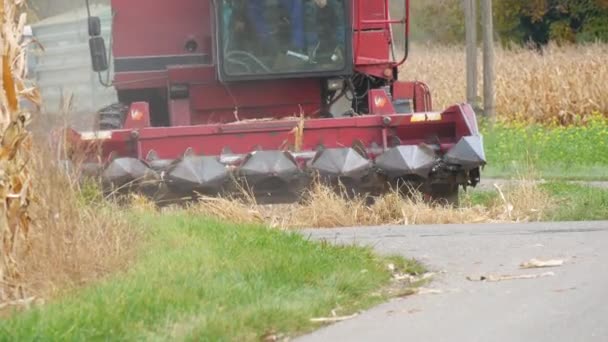 Kehl Germany October 2021 Combine Harvester Harvests Dry Ripe Corn – stockvideo