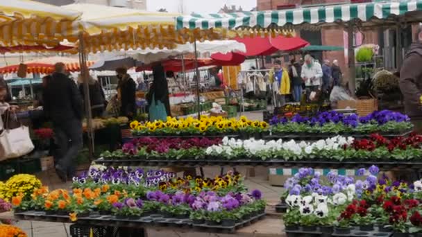 Kehl Germany October 2021 People Came Local Agricultural Market Buy — Stockvideo