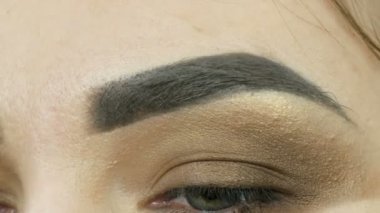 Profesyonel makyöz, kahverengi bir gölgenin dumanlı gözlerini yeşil gözlü güzel bir modelin özel fırçasıyla yapar.