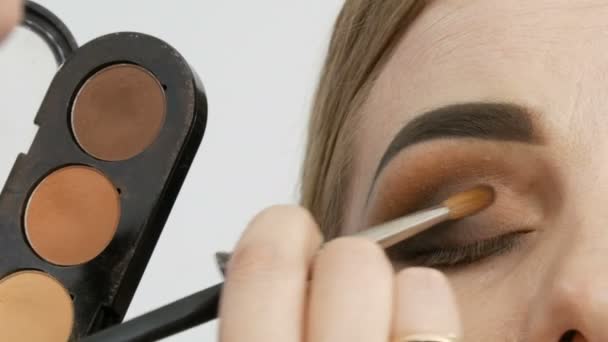 Profesional Maestro Maquillaje Artista Aplica Beige Sombra Ojos Paleta Con — Vídeo de stock