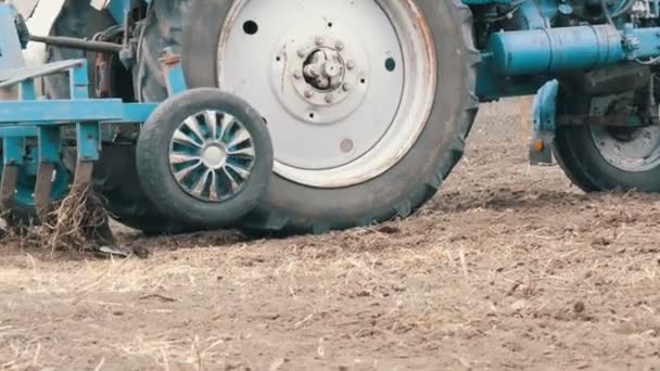 青いトラクターは畑を植える前に春に地面を耕す — ストック動画