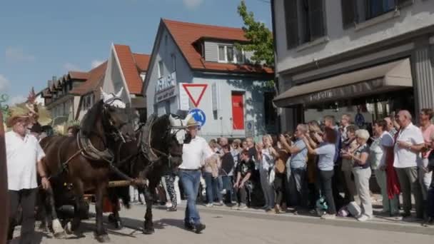 Buhl Germany September 2022 Festive Parade Plum Harvest City Street — Stock Video
