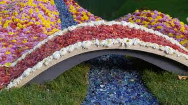 Kasımpatı köprüsünün ve cam parçalarından yapılmış bir ağacın güzel kurulumu. Parkta sonbahar kasımpatı festivali. Turuncu, beyaz, pembe, çeşitli çiçekler.